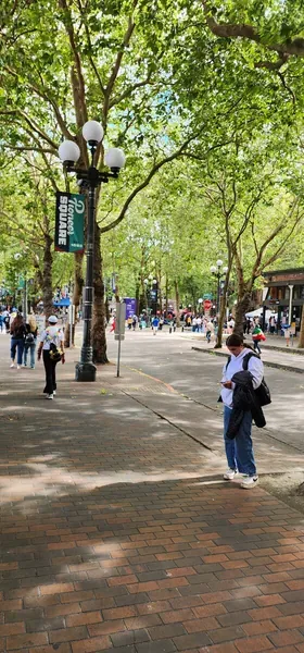 Seattle WC 01