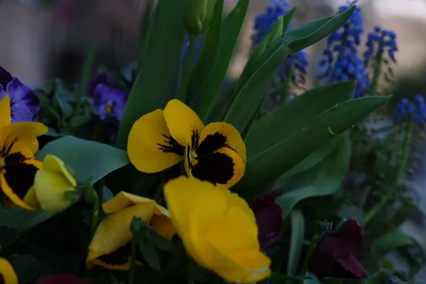 Spring 09